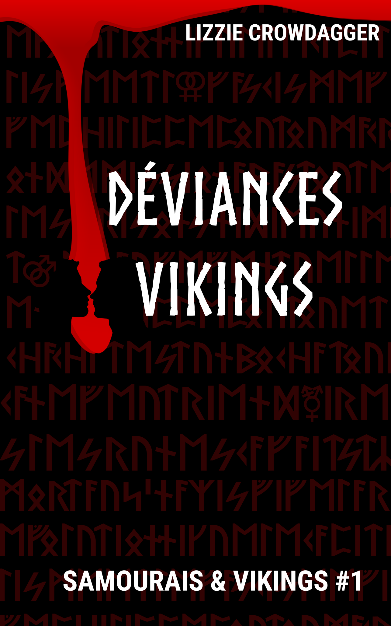 Déviances vikings (couverture)