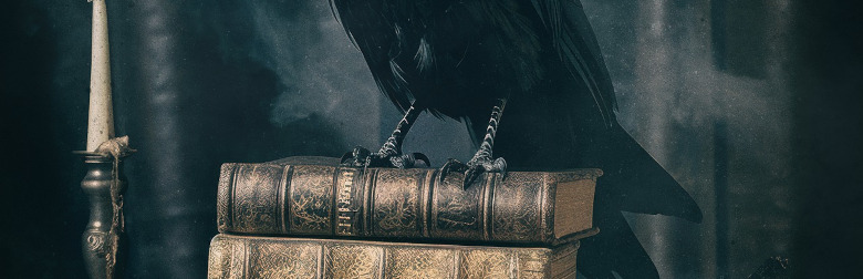 Un corbeau sur des livres